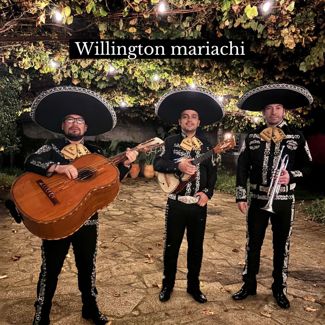 Instagram de Willington Mariachi